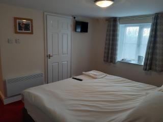 The Swan Hotel - Lydney - 9