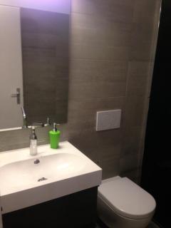 Apartment al Lido Ascona - Ascona - 2