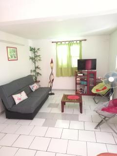 Bel Appartement - proche des plages de Sainte Anne - Sainte-Anne - 8