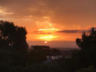 Stony Place - Ciudad del Cabo - 5