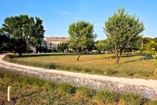 Le Mas Draiou Ecogites - 2 gites et une chbre familliale combinables 14 pers - Saint-Restitut - 8