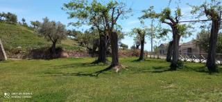 Casale Chiara & Giulia - Santa Caterina Dello Ionio Marina - 4
