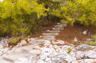 Fully renovated one bedroom apartment with a terrace - C - 2