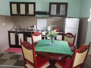 Airport apartment T&T - Surčin - 4