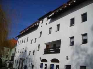 Hotel Pod skalou - Písek - 3