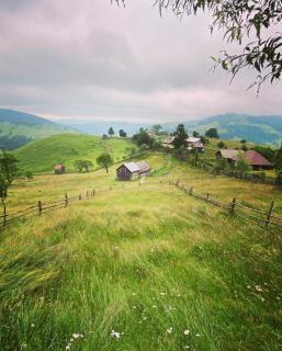 Casa Agroturistica Tarancuta din Vatra Moldovitei - Vatra Moldoviţei - 4
