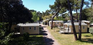Camping Le Puits de l'Auture - Saint-Palais-sur-Mer - 6