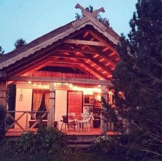 PO NENDRIŲ STOGU - Šiauliai - 2