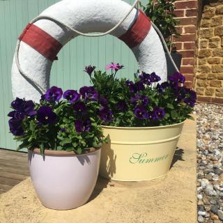 Heatherbell Cottage Guest Accommodation - 9