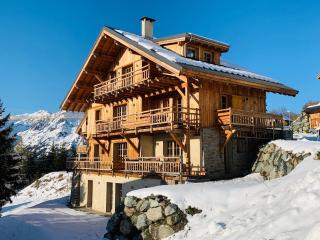 Chalet Le Montana - Villard-Reculas - 0