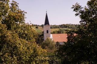 Madaras ház - Tard - 3