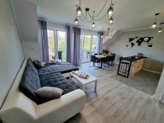 Domek pod świerkami - "Apartamenty świerkowe" - Kudowa-Zdrój - 0
