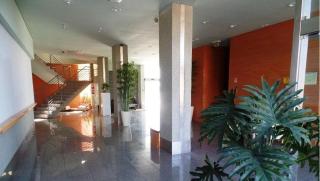 Ericeira Ocean Window Apartment - 1