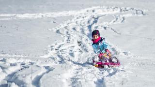 Bio Bauernhof Oberhinterberg Appartement - 8