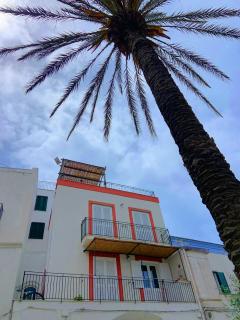 Maridea - Madreperla - Ponza - 4