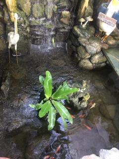 Isteraha Haven&Suites - Zamboanga - 7