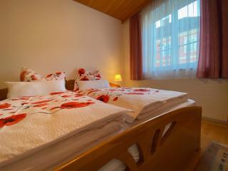 ALTSTADT-APARTMENTS Bad Radkersburg - Ihr Zuhause auf Reisen - 2