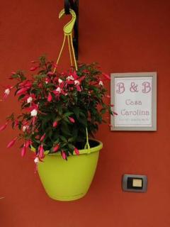 Casa Carolina - Castellinaldo - 6