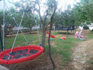 Apartmani Kardum Brodarica - Brodarica - 1