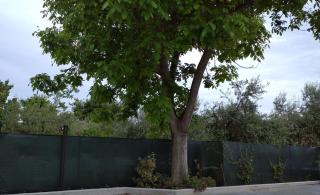 La Dimora di Lalla - 1