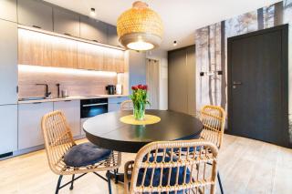 Annapurna Apartamenty Szklarska Poręba - Szklarska Poręba - 6