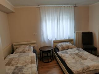 FeWo nähe Europapark - 4