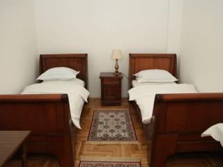 Mladenovic apartments - 4