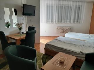 Apartman Zivanovic1 - Banja Koviljača - 5