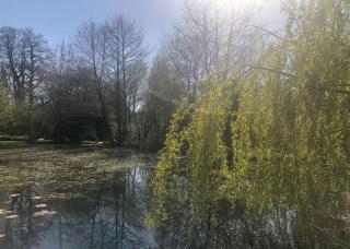Oathill Farm Lodges - Winsham - 8