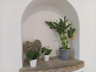 Eroso Saint Esprit proche gare WIFI bureaux - Bayonne - 2