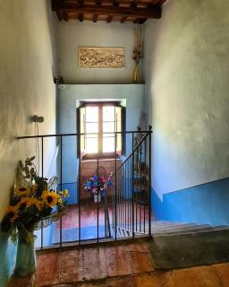 La Cascina di Muttley - 2