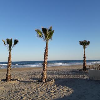 Maison au calme de la pinède, piscine, plage et farniente - Cap d'Agde - 0