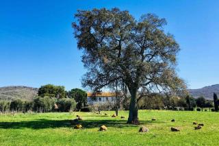 Superb Cottage in Tuscany's Maremma - Nunziatella - 0