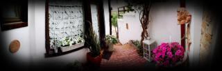 Casa Fotografului - Constanţa - 6