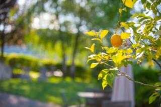 B&B Unterhabsbergerhof - Eppan an der Weinstraße - 4