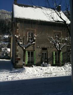 Les mélèzes - Le Mont-Dore - 0