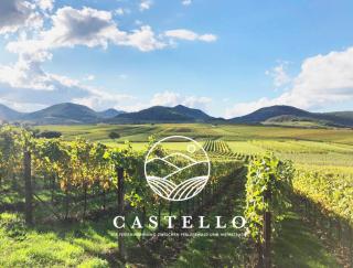 Die Gründerzeitvilla zwischen Weinstrasse und Pfälzer Wald - 6