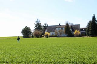 Ein Bett im Kornfeld - Haus Morgensonne - mit Innenpool - Schönfeld - 9