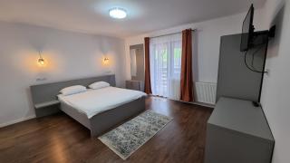 Pensiunea Barsan - 3