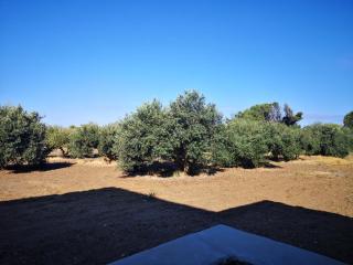 Dammusi di pietra LUNA - Pantelleria - 4