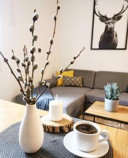 Apartmány Ve stodole - 1
