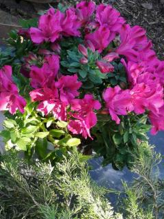 Holiday home in Balatonmariafürdo 19358 - 4