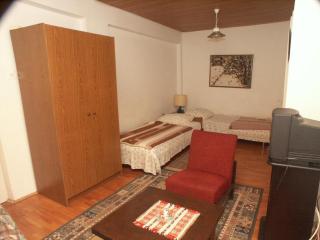 Apartment Selce 2372c - Selce - 1