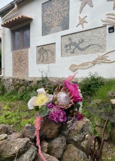 La casetta dei Mosaici - Capraia - 7