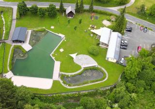 Apartments Fiore am Naturschwimmbad! - Puch - 3