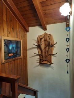 Agriturismo il canale - 8