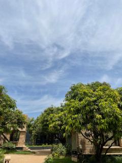 The Postcard Gir Wildlife Sanctuary - 4