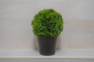 MyFlat Solaris Family Apartment - 3