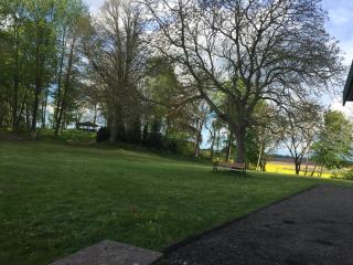 Parkblick Grüner Salon - Satow - 3