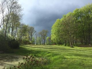Parkblick Grüner Salon - 2